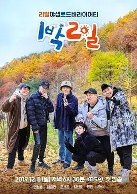 奔跑吧 第十三季 综艺 2025 姚译添